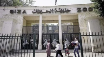 افتتاح حديقة حيوان الجيزة بعد تطوير شامل يعيد الوجه الترفيهي والثقافي للمكان في 2025 1